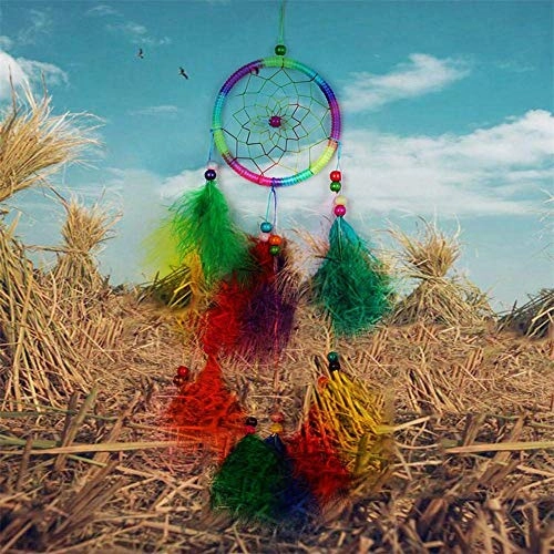 Dreamcatcher - Siderosphere, feathers, lines, wood beads.