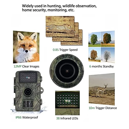 Trail Camera - 16MP
