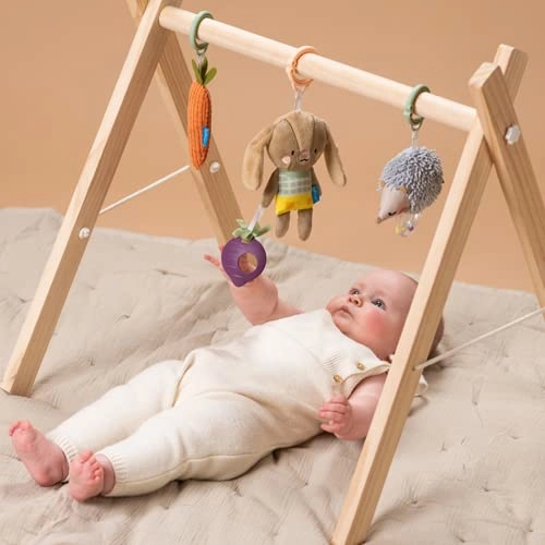 Urban Garden Baby Activity Toys Kit - Animal