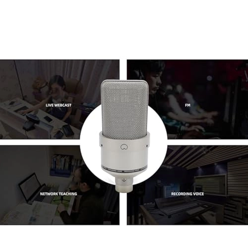 Jectse93mga5pdv2-12 XLR Microphone