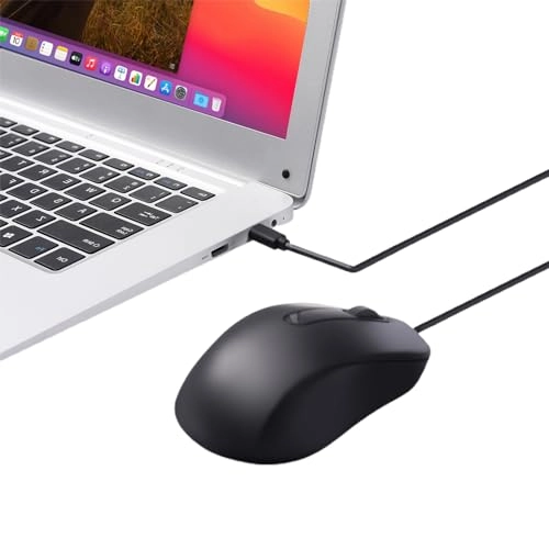 Type C Mouse - USB