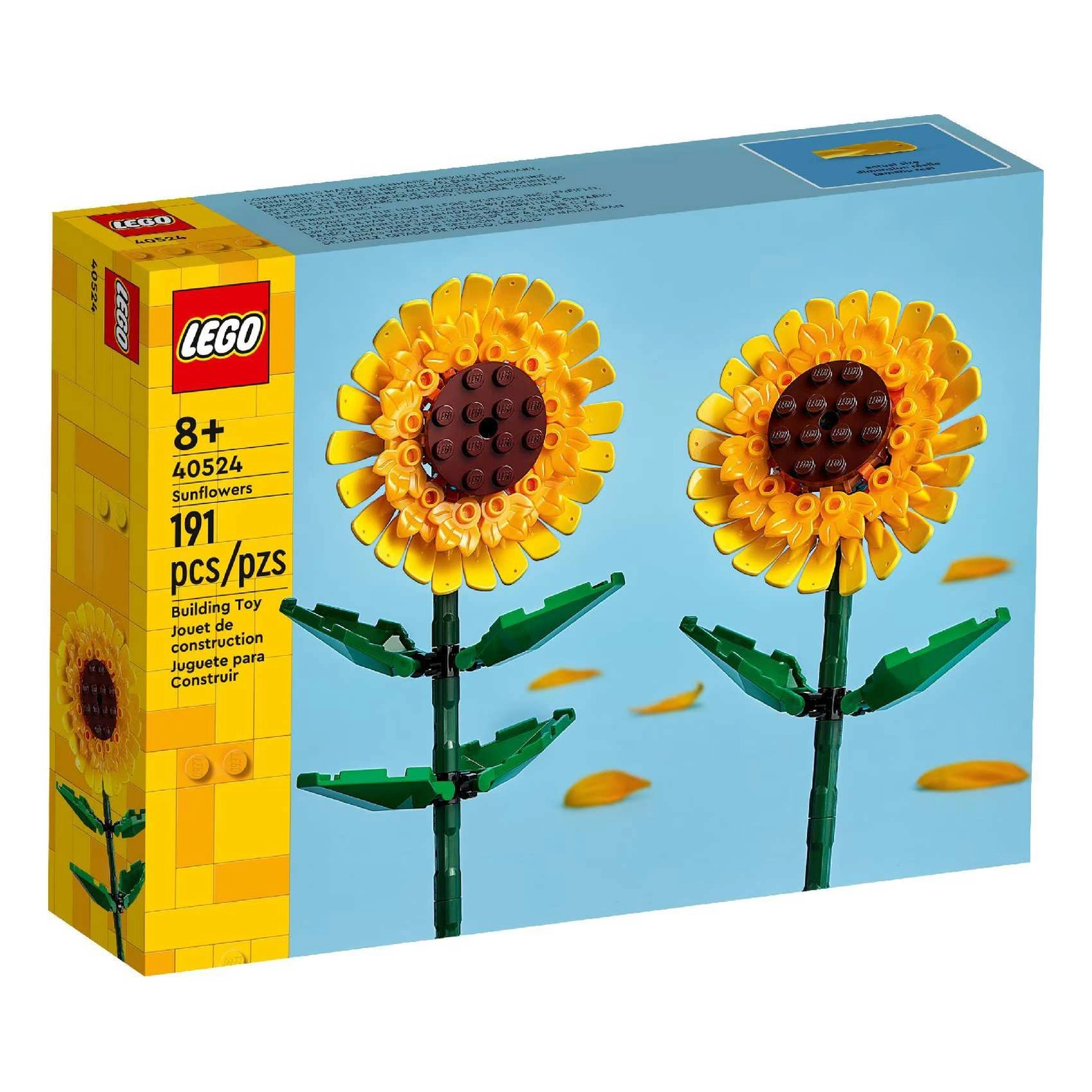 Sunflowers (40524)