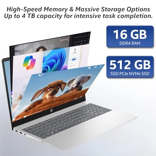 17 Laptop - 17.3'' 1 TB 16 GB Ryzen 5 7430U