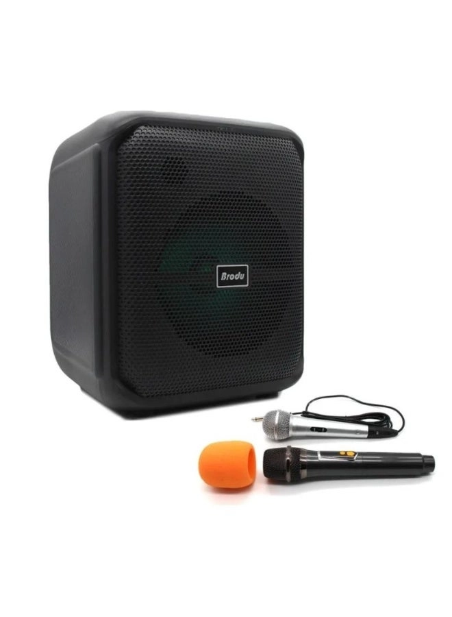 BTS 1740 - Dual Microphone