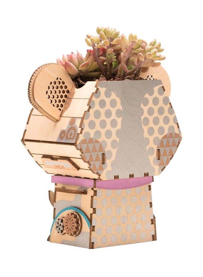 Pot Koala - 8+ Years