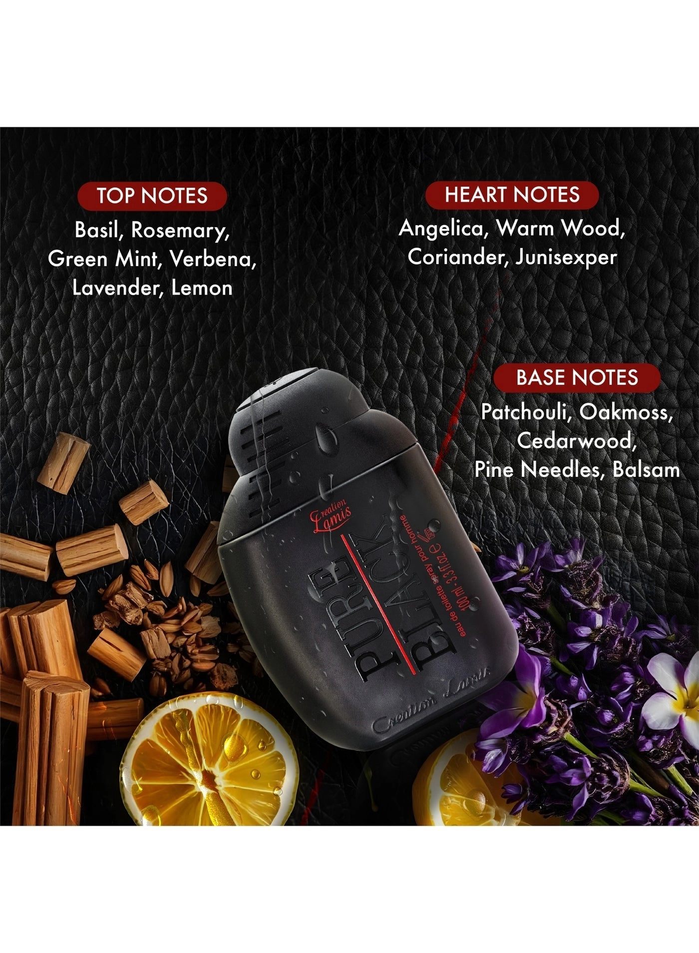 Pure Black - 100ml Eau de Toilette + Privé Vanille Divin - Eau de Parfum