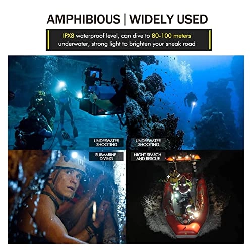 Submersible Light