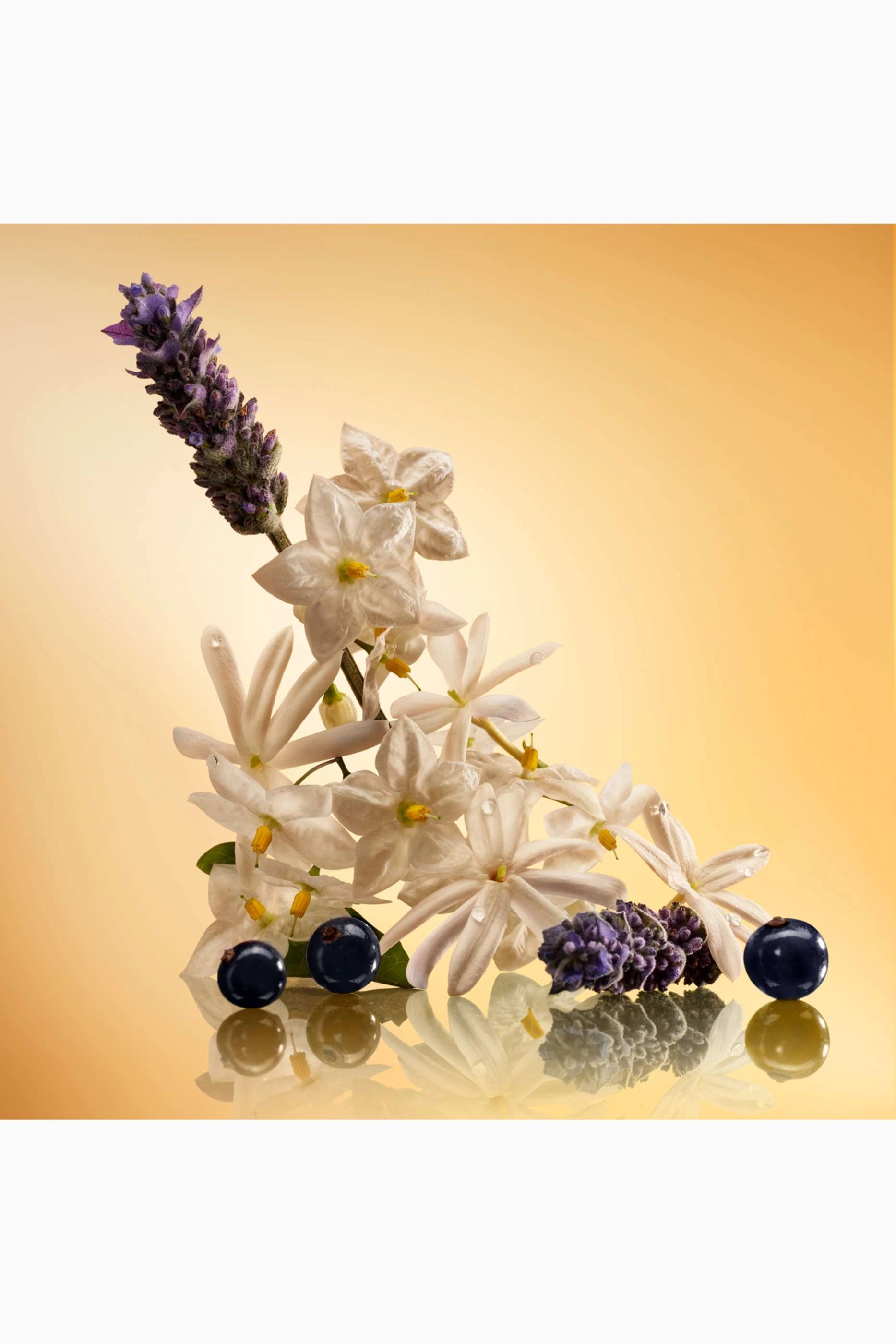 STAR CONFIDENCE - Eau de Parfum 10ml