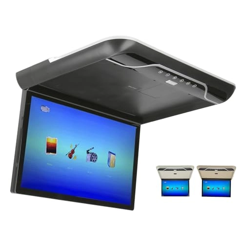 Roofmount LCD Monitor - 19in