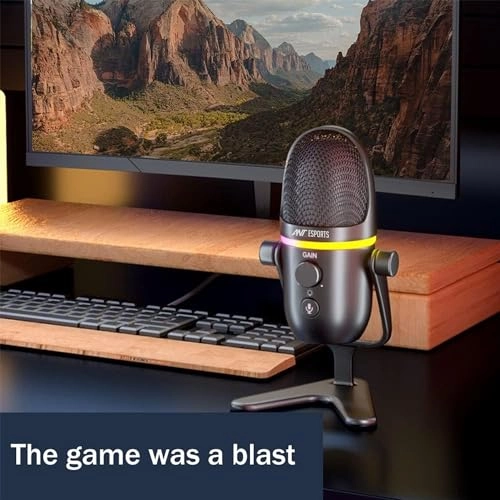 Wente 250 USB Microphone