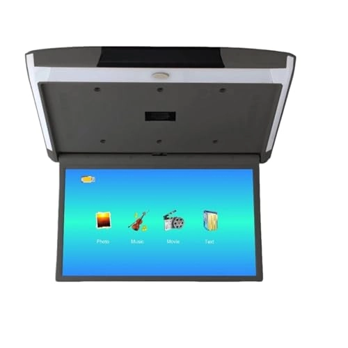 Car Roof Monitor - 15.6 Inch