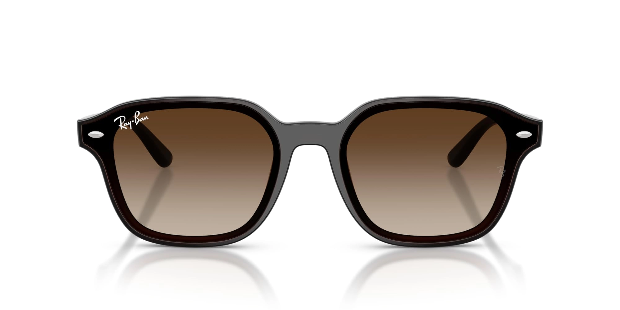 RB4458D - 65 mm Dark Green Polarized