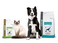 Dog & Cat Food