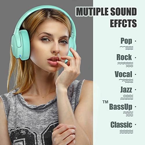 WH202A Wireless Headphone