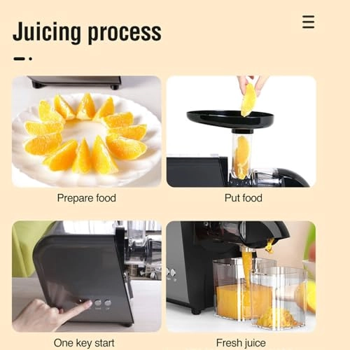 Slow Juicer - 250 watts 400 Milliliters