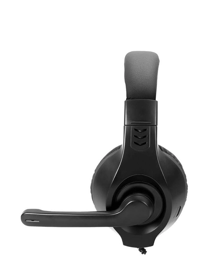 HP-312 Wired Headset