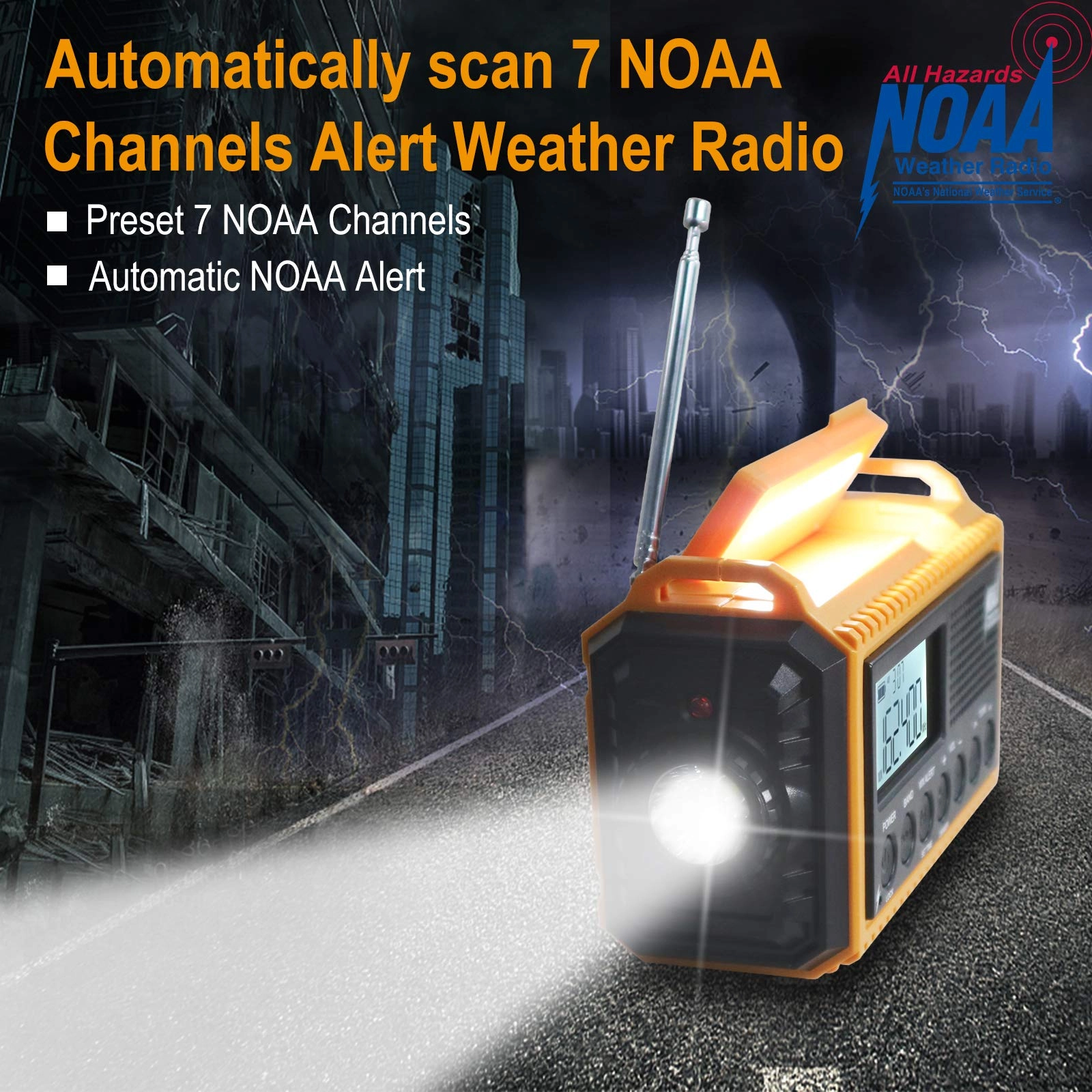 CR1009Pro - Portable radio