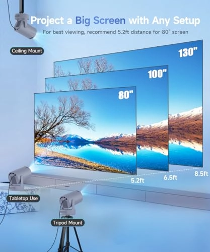 Freestyle HY300 200 ANSI