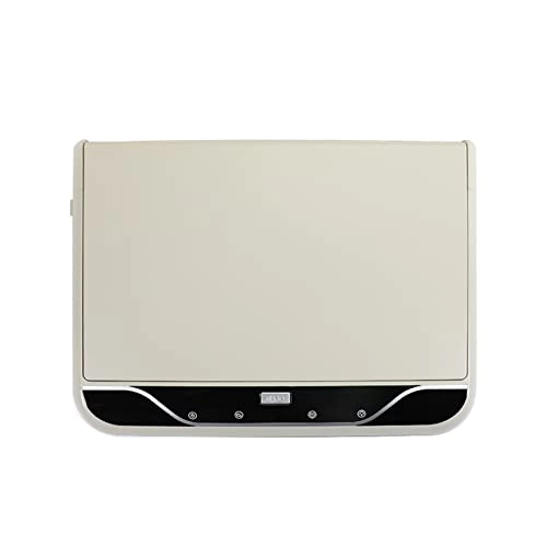 Car Screen - 19 inch