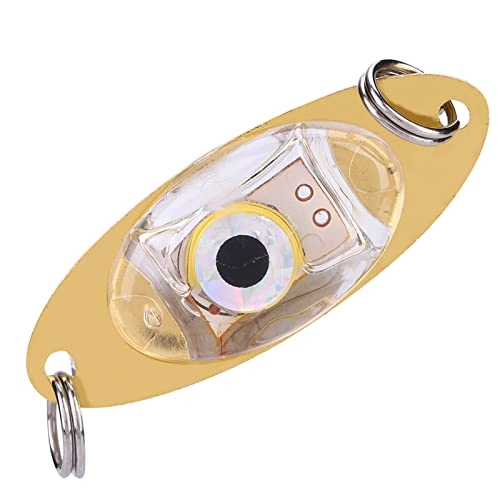 Fishing Lure Light