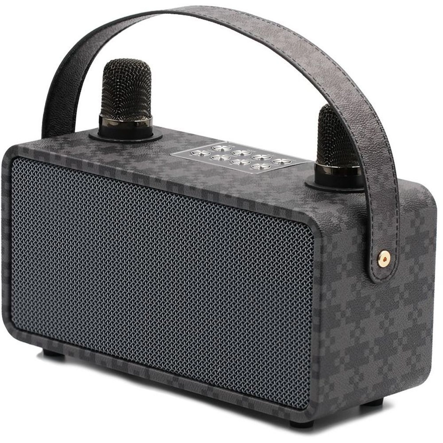 Pulz Mini Karaoke - 2 Microphones