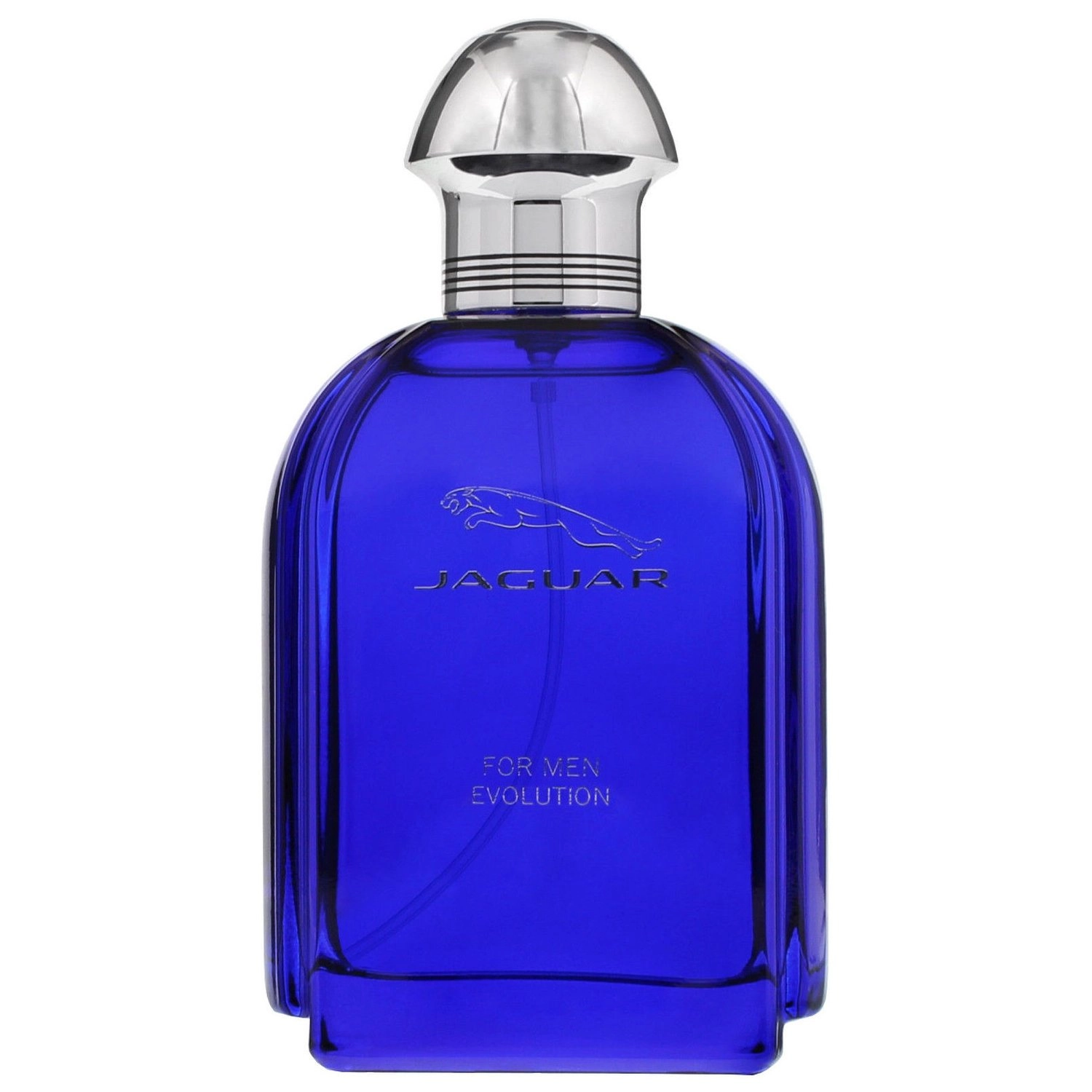 Evolution Eau de Toilette 100 ml