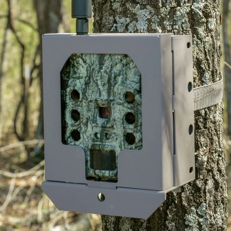 Trail Camera Security Box