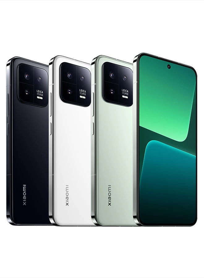 13 - 12GB 256GB