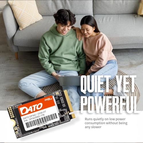 DP342 - 1 TB M.2 2242