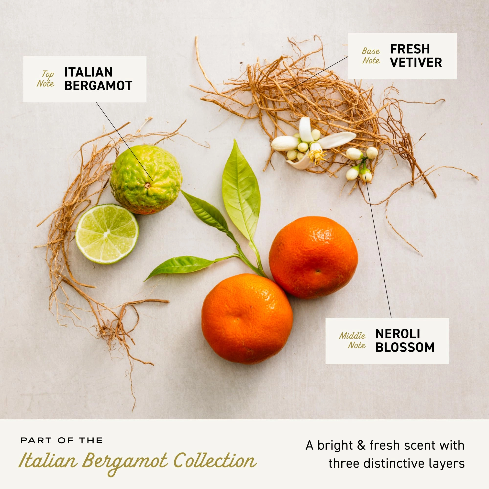 Italian Bergamot - 3.4 Fl Oz