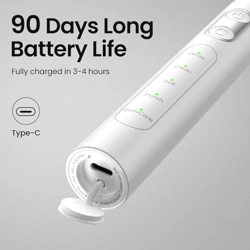 C3 - 8 Brush Heads Travel Case USB Type-C Charging