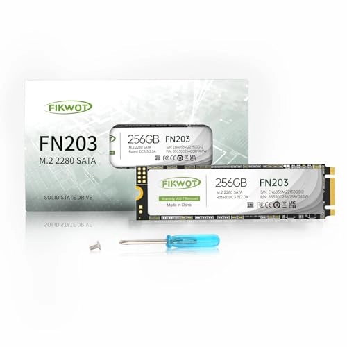 FN203 - 256GB M.2 2280