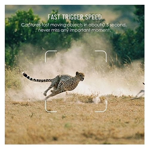 Hunting Camera - 16MP