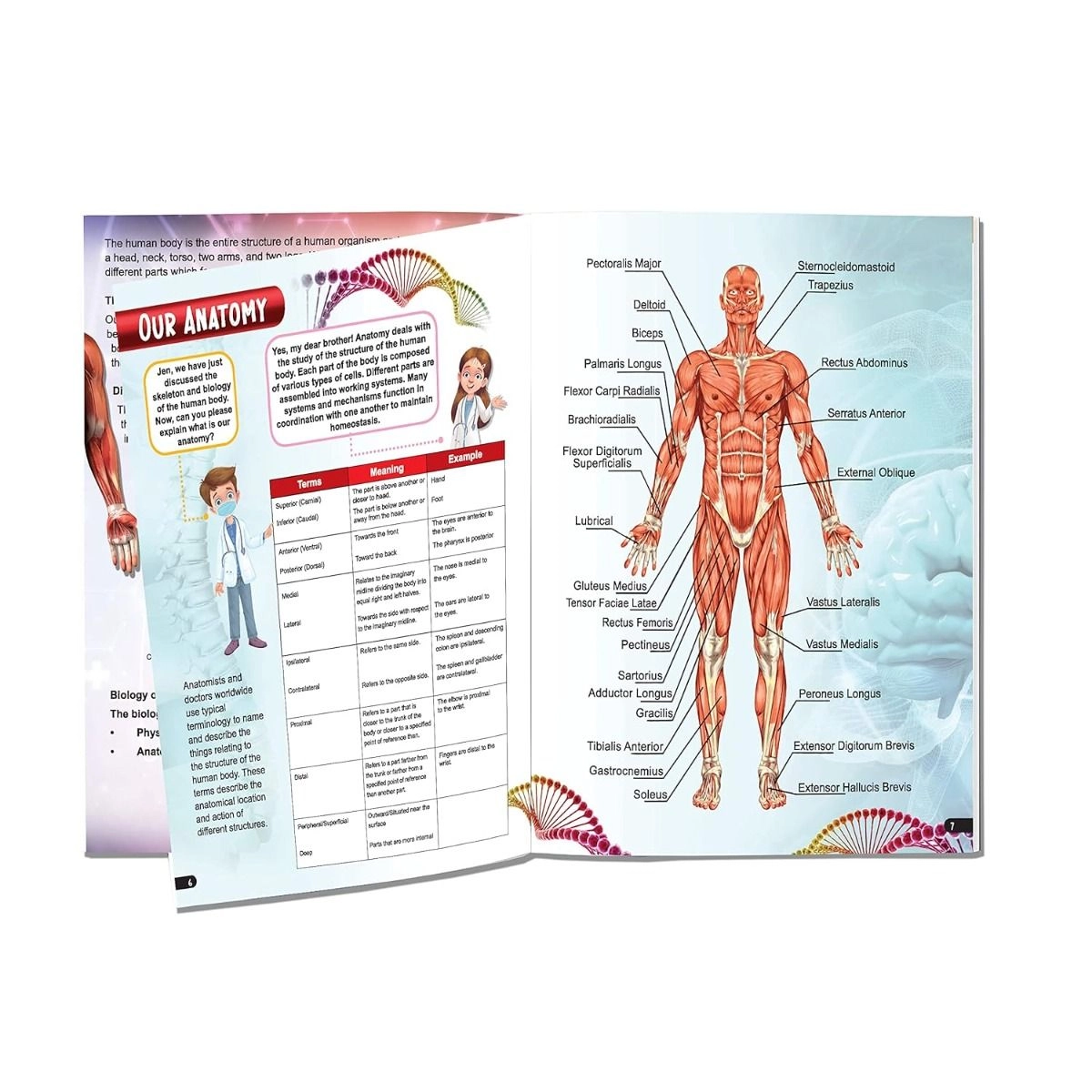 Explore Human Body Encyclopedia - 6+