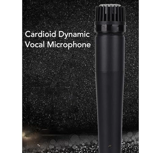 Denashqzo20gw1sv XLR+USB Microphone