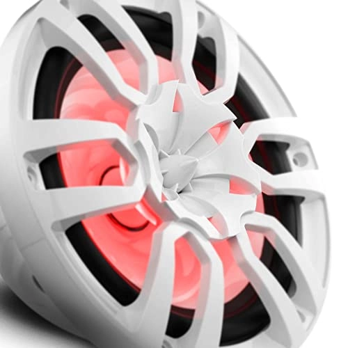 NXL-10 - 10 in 300 Watts