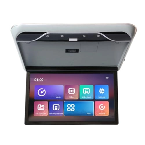 Car ceiling display - 19-Inch