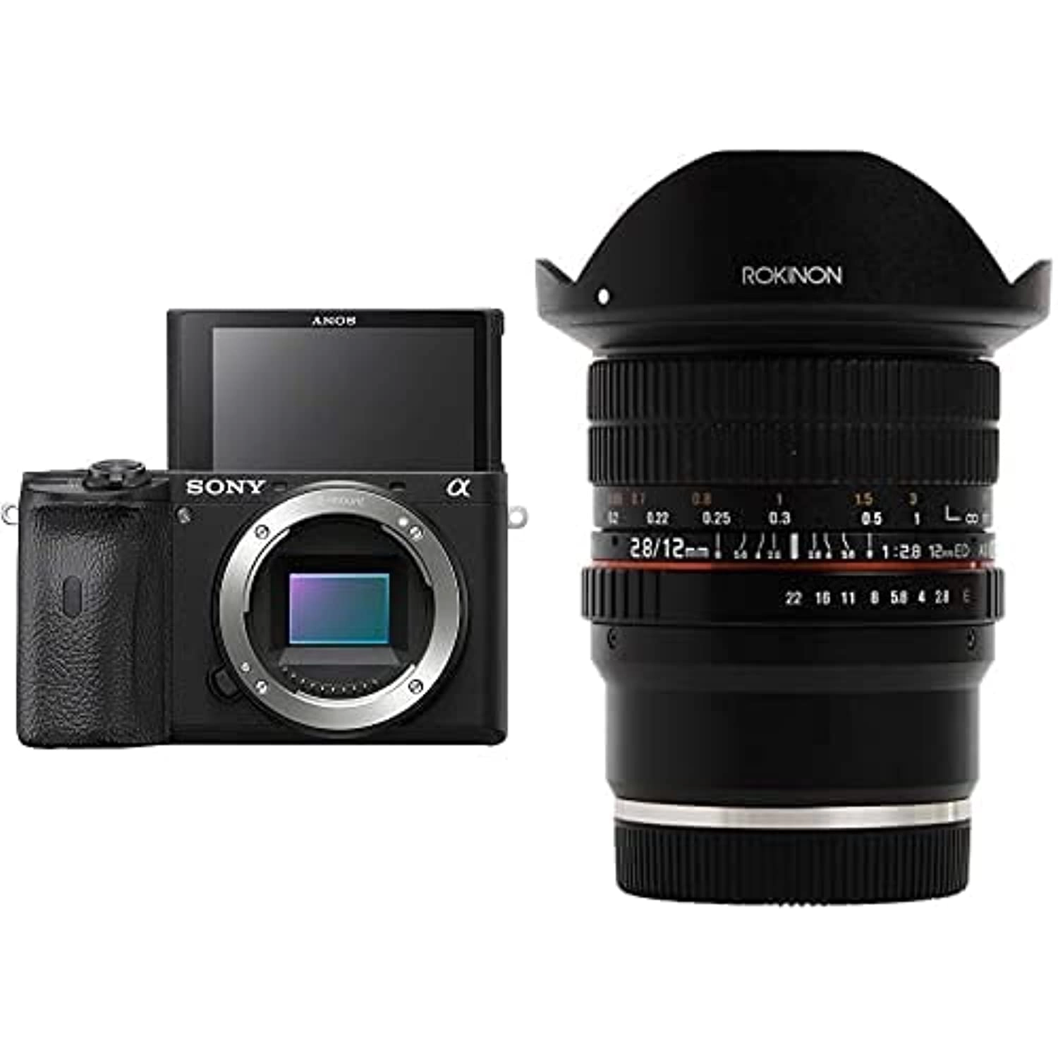 Sony A6600 + 12Mm F2.8