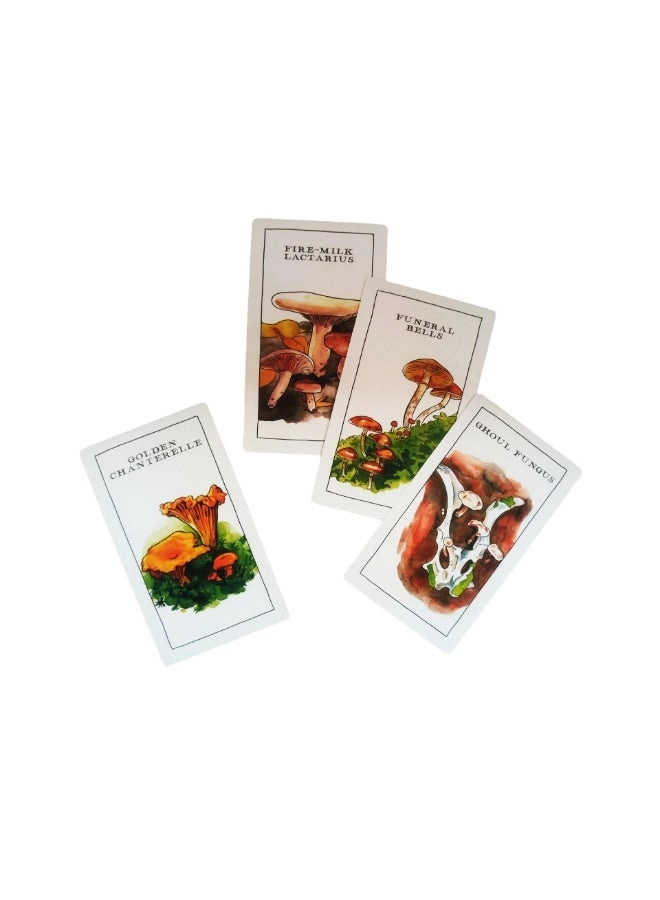 Mushroom Observer Oracle