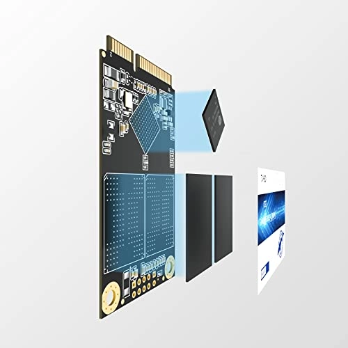 Shark SSD - 64GB MSATA