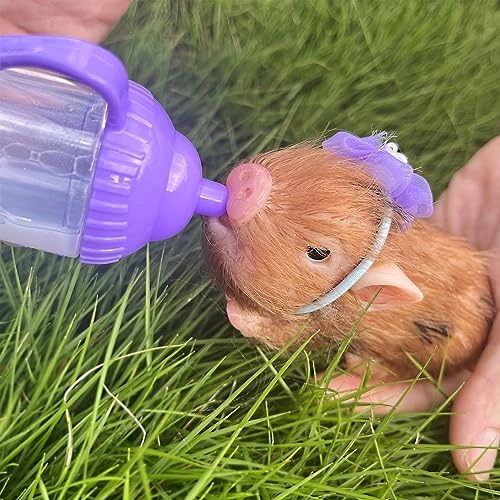 Mini Pig - 5 Inch Silicone Brown Ages 3+
