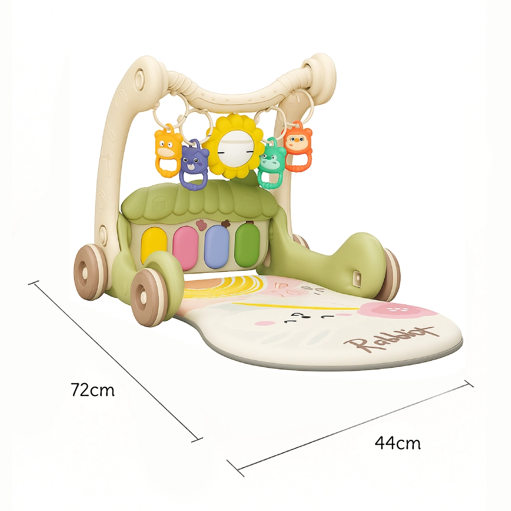 Daisy - 3-In-1 Baby Walker