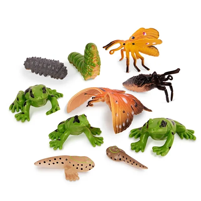 Metamorphosis Animals - (RTT-AN2891Z) 10 pcs