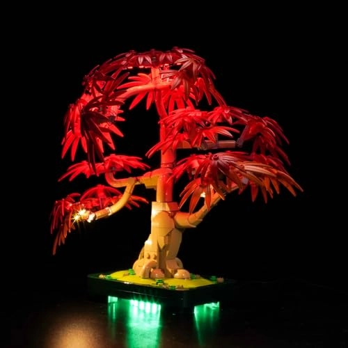 10348 Japanese Red Maple Bonsai Tree - Light Control Lighting Kit