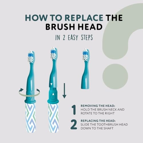 Family Sonic Toothbrush - Battery-Powered Replaceable Green