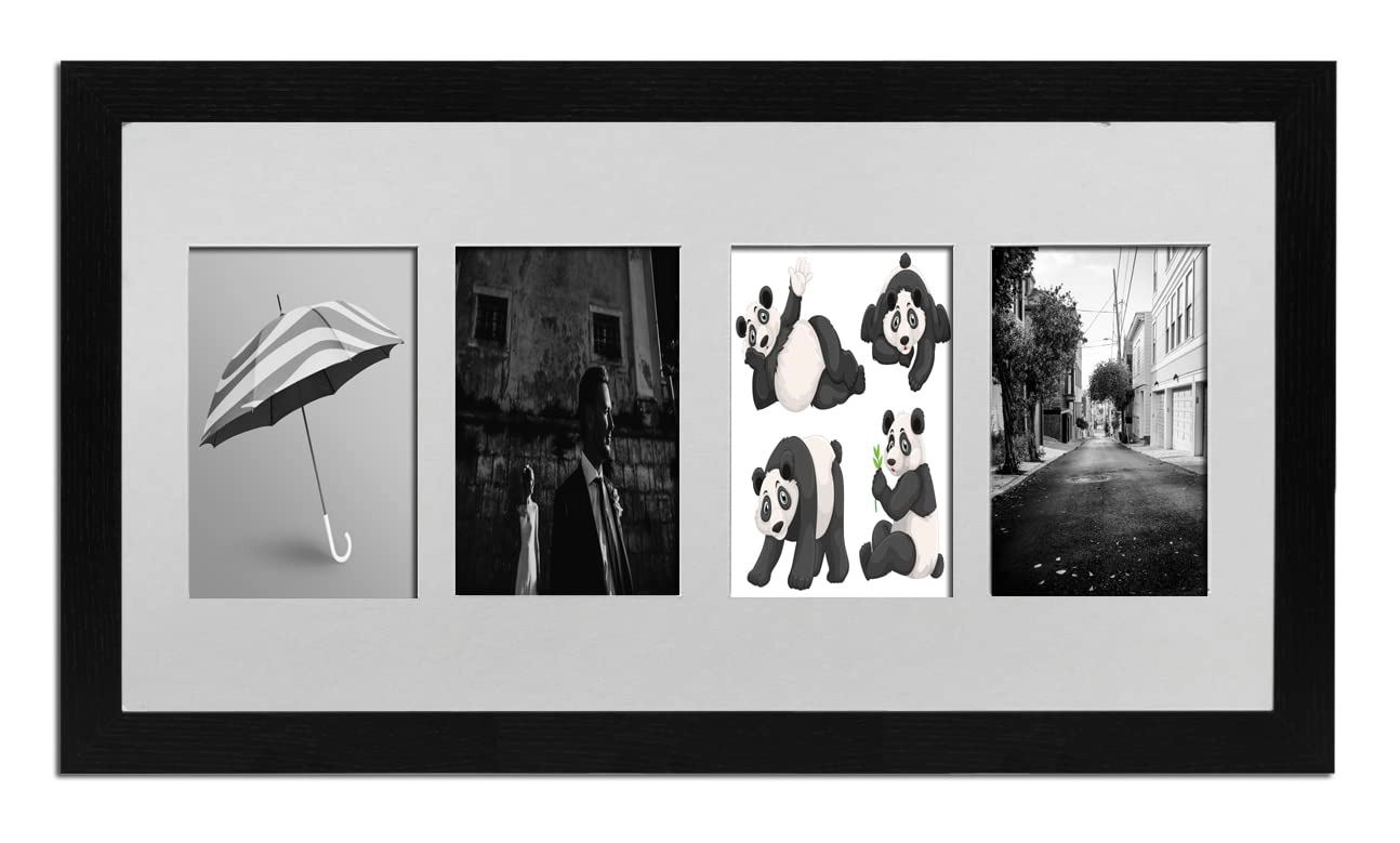 Multi Aperture Picture Frame - 20x10 4x