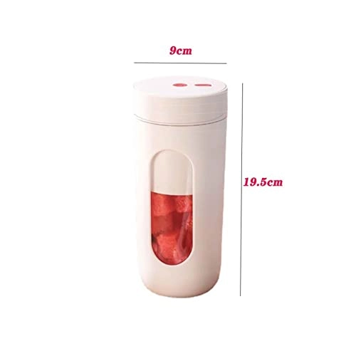 Mini Juicer - 300W 500ml