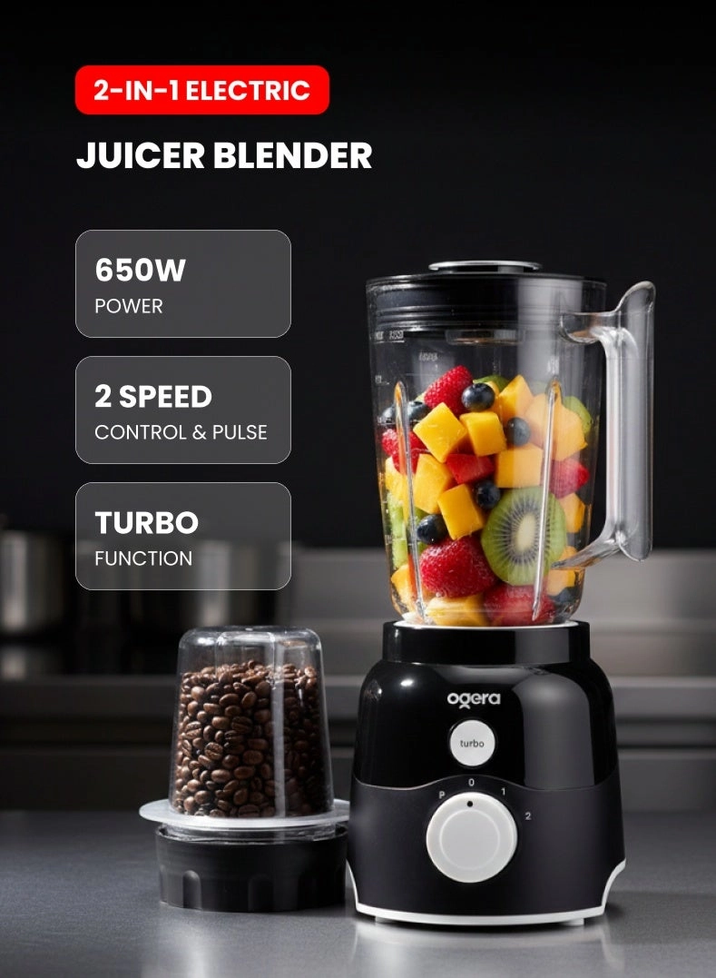 Ogera OG5104BR - 650 watts 2 Liters