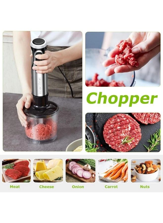 Immersion Blender - 20 Variable Speeds & Turbo, 4-in-1 Stainless Steel