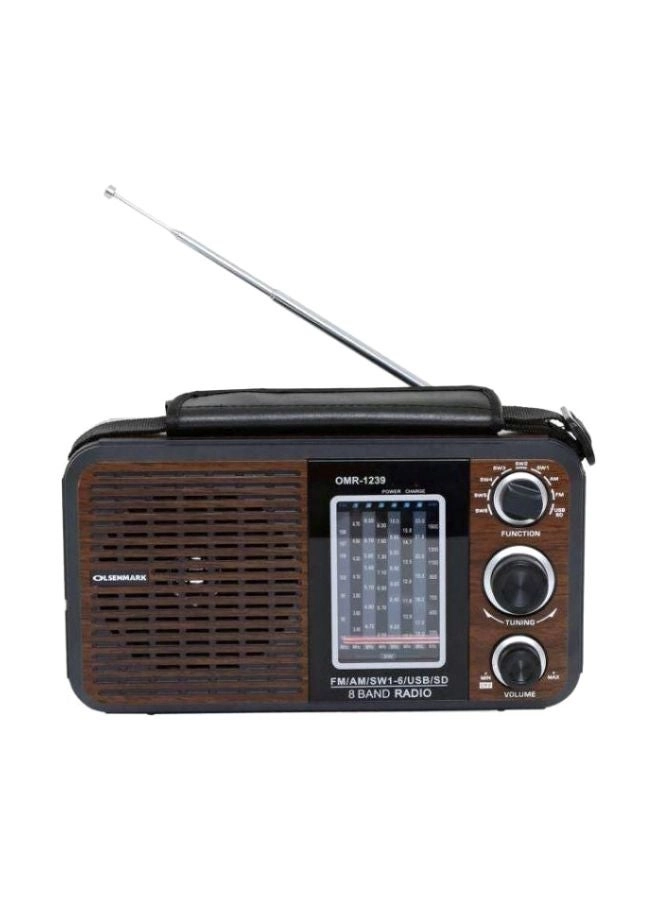 OMR 1239 - Radio